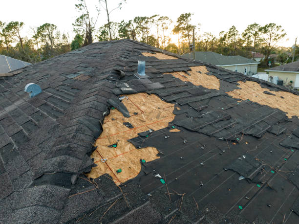 Best Storm Damage Roof Repair  in Honey Grove, TX